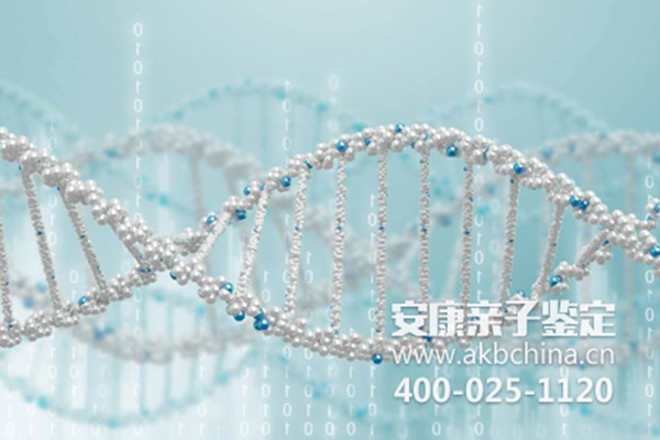 广西全国DNA亲子鉴定机构排行榜 